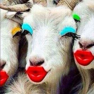 Meet your Posher, Mindy